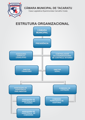 Estrutura Organizacional 